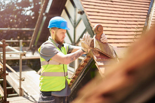 Best Gutter Installation and Roofing  in Ridgewood, NJ